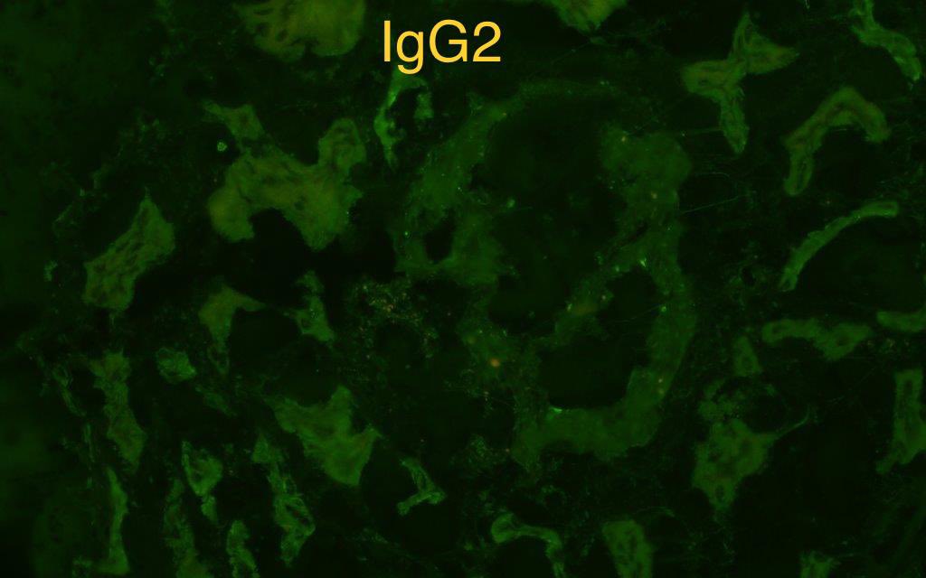 Sanjeev Sethi tweet media