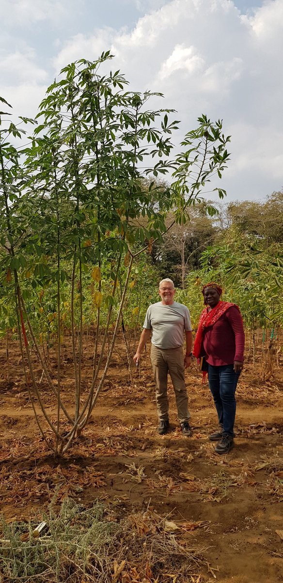 Samar Sheat, Ph.D.🌿 tweet media