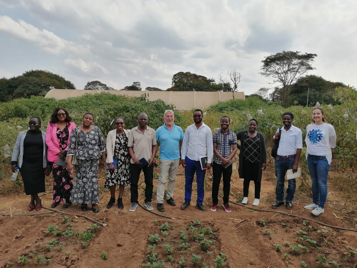 Samar Sheat, Ph.D.🌿 tweet media