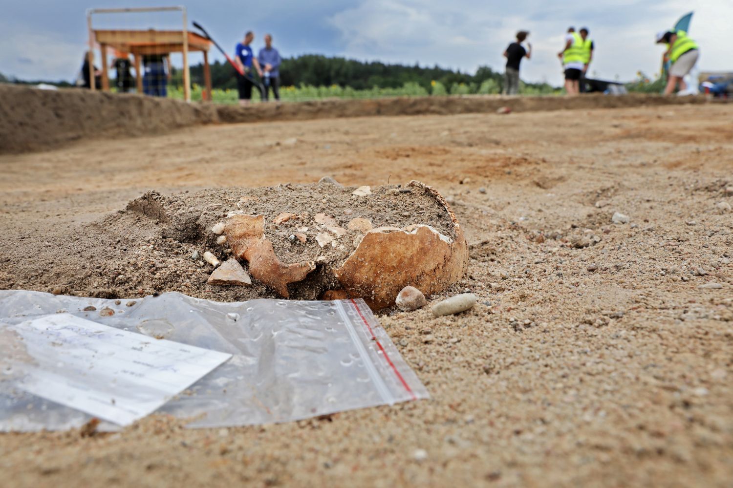 Badania terenowe na cmentarzysku w Pniu koło Dąbrowy Chełmińskiej. 

fot. Andrzej Romański