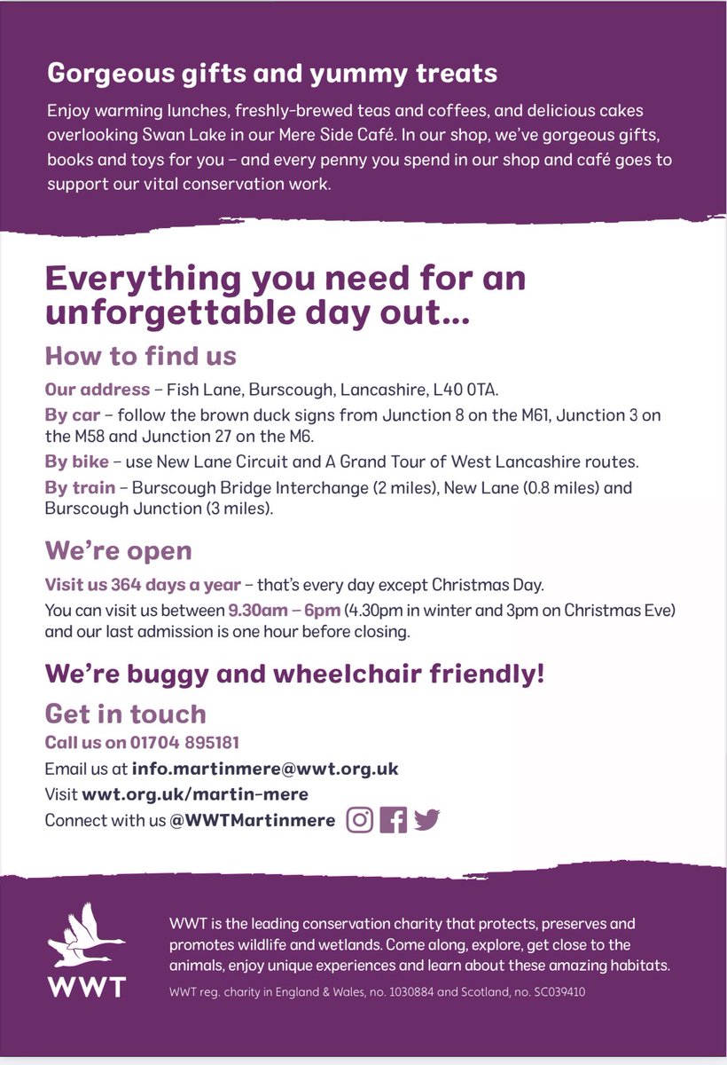 InceCEPrimary's tweet photo. Lots of activities and fun going on at Martin Mere over summer. Take a look! #martinmere #summerfun ☀️☀️☀️ https://t.co/vcrY16CKpe
