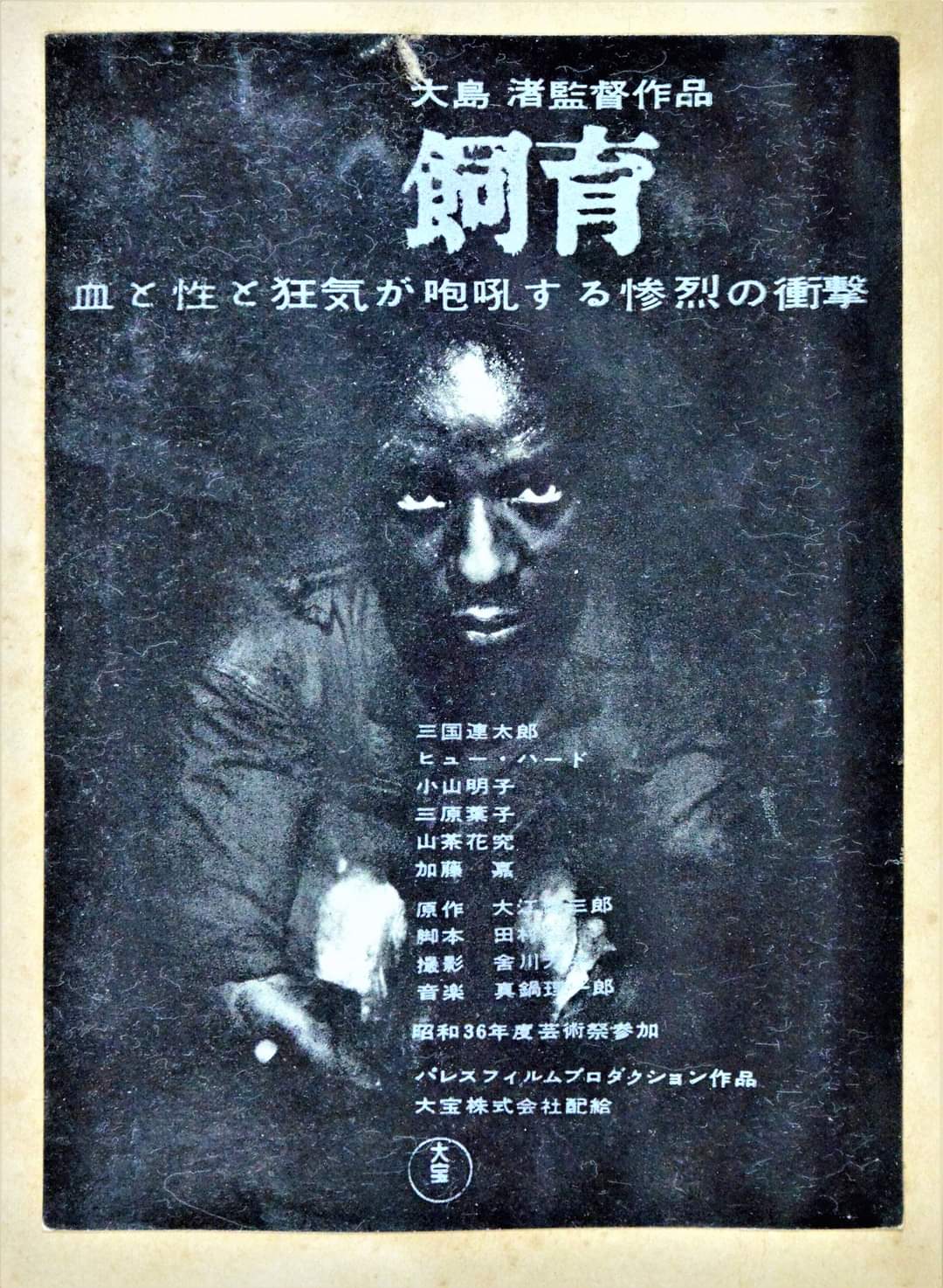 樋口尚文＝『大島渚全映画秘蔵資料集成』神保町「猫の本棚」 on