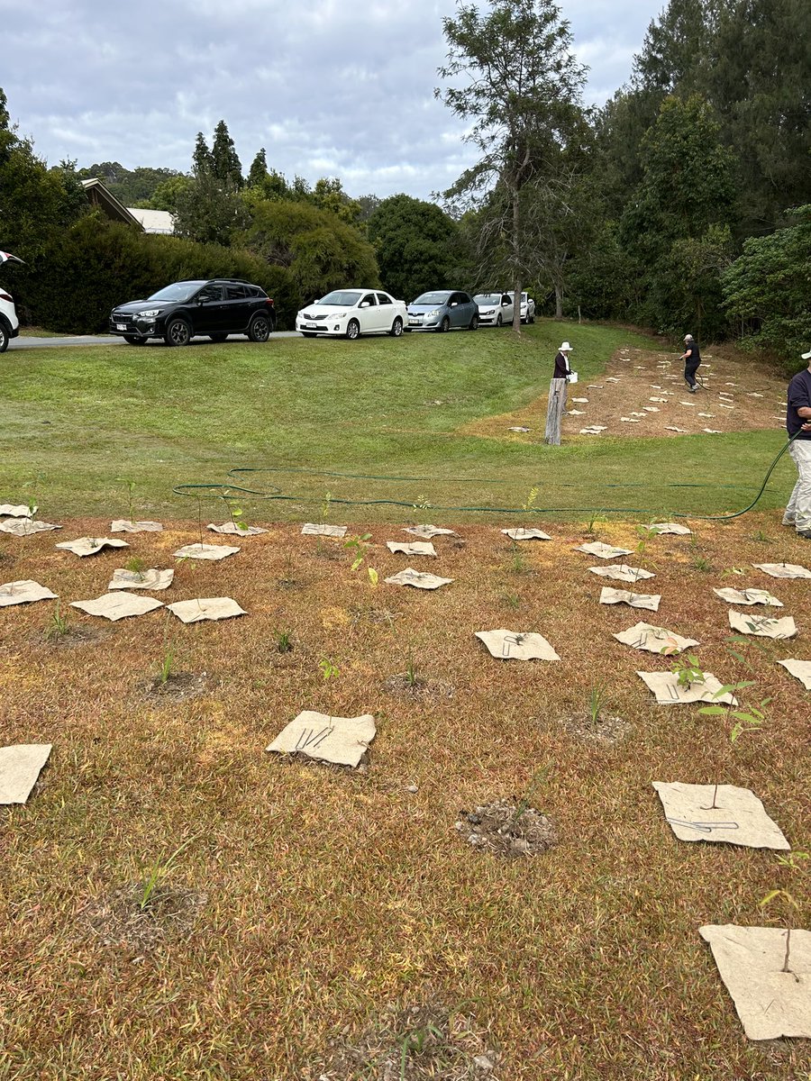 GoldMedallist.eth🥇 tweet media