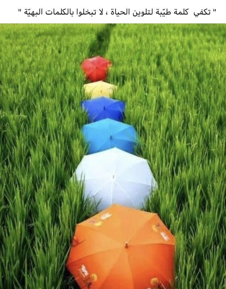 ✨ﺻﺑاح هادئ..🌤️
     وأنفَاسْ تحمل تفاؤل ويقين..
     بأن كل مَا سيكتبہُ الله لنا فيْ كل يُوم هو خيْر..
✨رتب الصباح لنفسك..
     عش فيه وقتاً لطيفاً..
     إنزع من روحك شوائبها وإستمتع بتفاصيل الصباح.