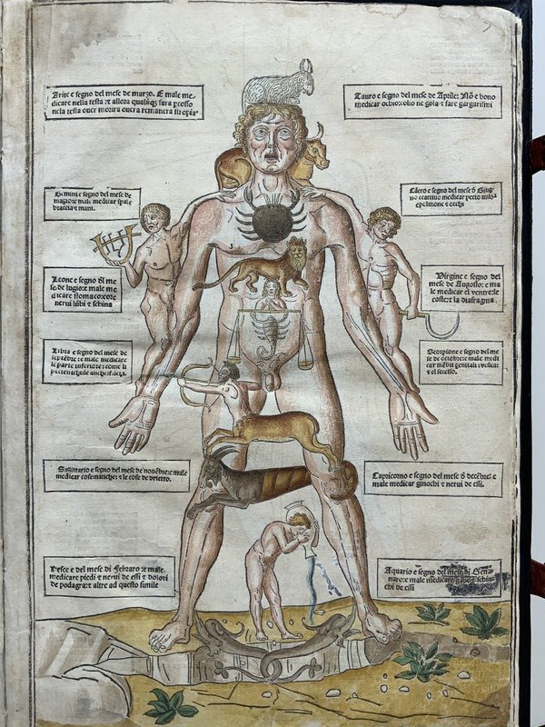 “We are still as much possessed by autonomous psychic contents as if they were Olympians. Today they are called phobias, obsessions, and so forth; in a word, neurotic symptoms. The gods have become diseases; Zeus no longer rules Olympus but rather the solar plexus, and produces