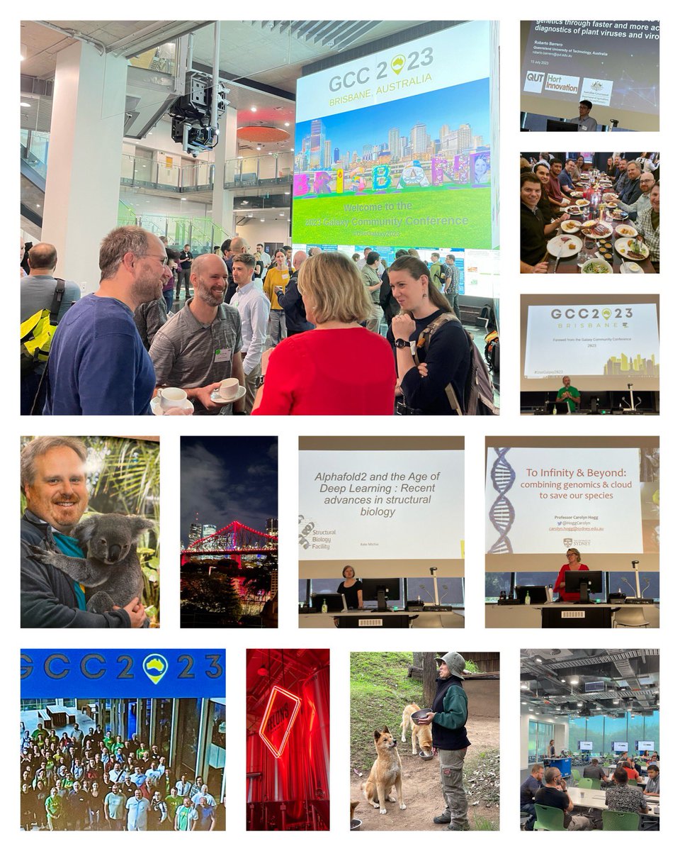 Michael Schatz (@mike_schatz) on Twitter photo Thank you <a href="/GalaxyAustralia/">Galaxy Australia</a> for hosting an amazing conference. The memories will last a lifetime. Can’t wait to see you all next year in Brno! <a href="/galaxyproject/">Galaxy Project</a> <a href="/usegalaxy_eu/">Use Galaxy.eu</a> #GCC2023 Thank you <a href="/GalaxyAustralia/">Galaxy Australia</a> for hosting an amazing conference. The memories will last a lifetime. Can’t wait to see you all next year in Brno! <a href="/galaxyproject/">Galaxy Project</a> <a href="/usegalaxy_eu/">Use Galaxy.eu</a> #GCC2023