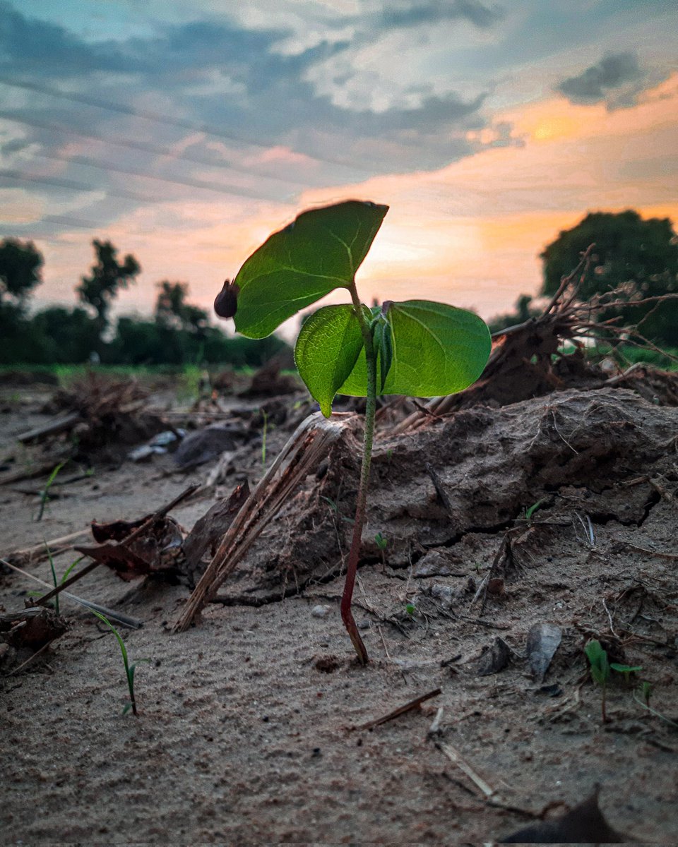 PThakor340's tweet photo. #GalaxyUnpacked
#NaturePhotography
#nature
#Samsung
#Galaxya7
#ShotOnSamsung
@SamsungIndia
@SamsungMobile https://t.co/uKJklAXMVx