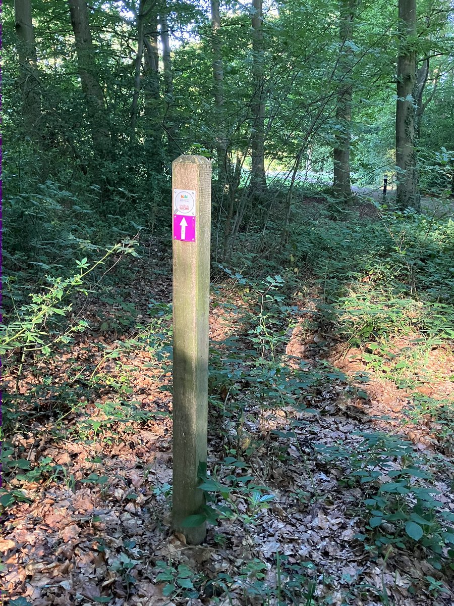 witblok's tweet image. Hardlopen #BadBentheim. Prachtig!