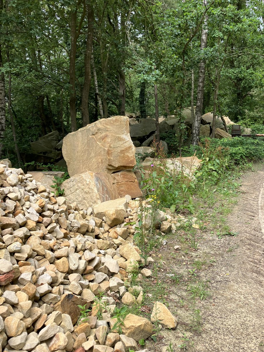 witblok's tweet image. Hardlopen #BadBentheim. Prachtig!