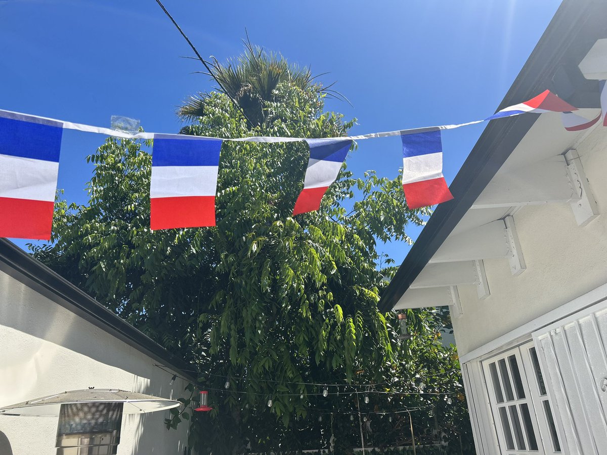 MathildeBadji's tweet image. Happy bastille day!