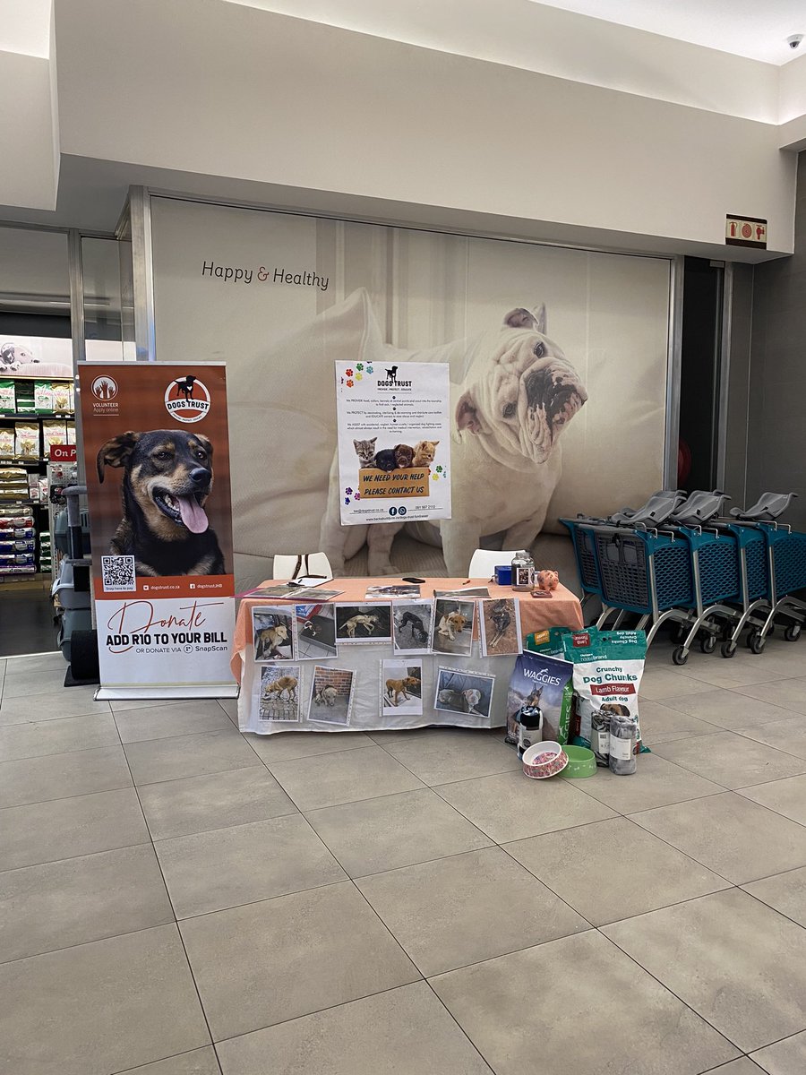 TheDogsTrust's tweet photo. We are at Nicolway shopping centre by Checkers . https://t.co/FWJ5oaulFW