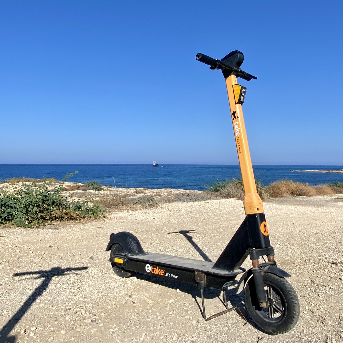 o.Shirya tweet media