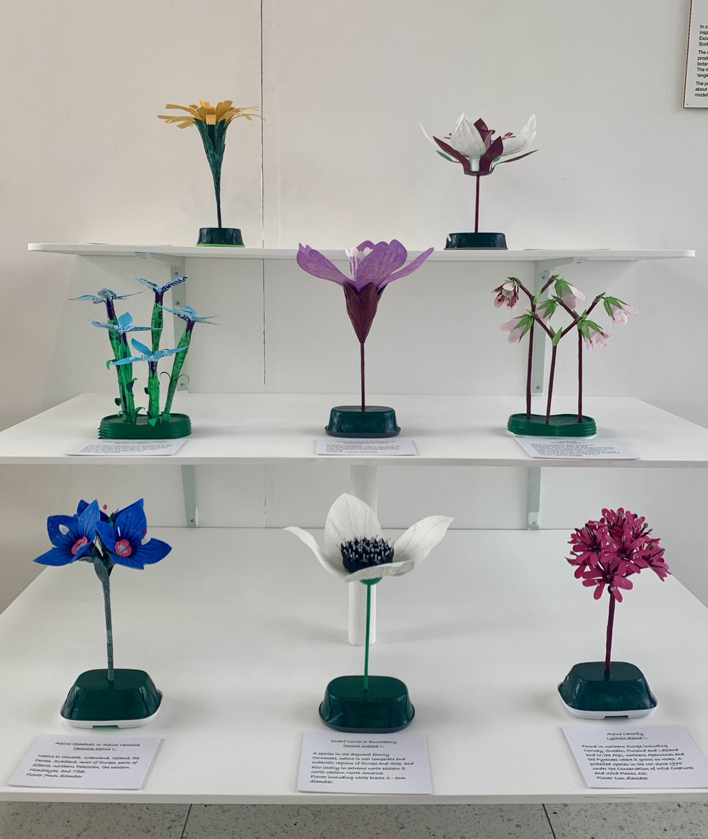 Ruth Moilliet tweet media