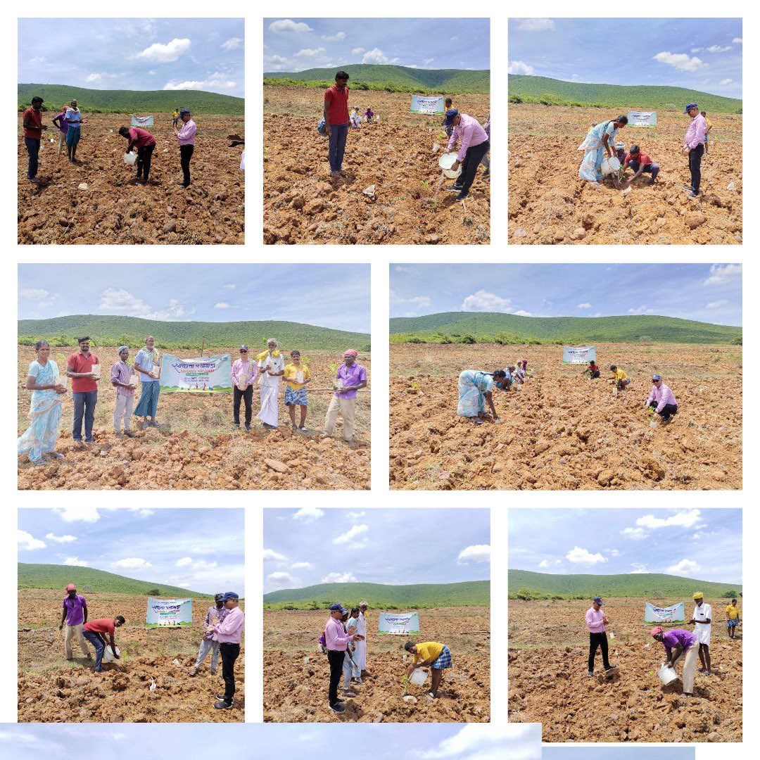 IOCLSRPLEnnore's tweet photo. As a part Swachhata Pakhwada 1500 Nos. sapling plantation done by Team @IOCLSRPLEnnore for conservation of Nature and Green India towards restoration of degraded land and to improve Tree cover @iocl_srpl1 @IOCL_PLHO https://t.co/89bPcM0mDn