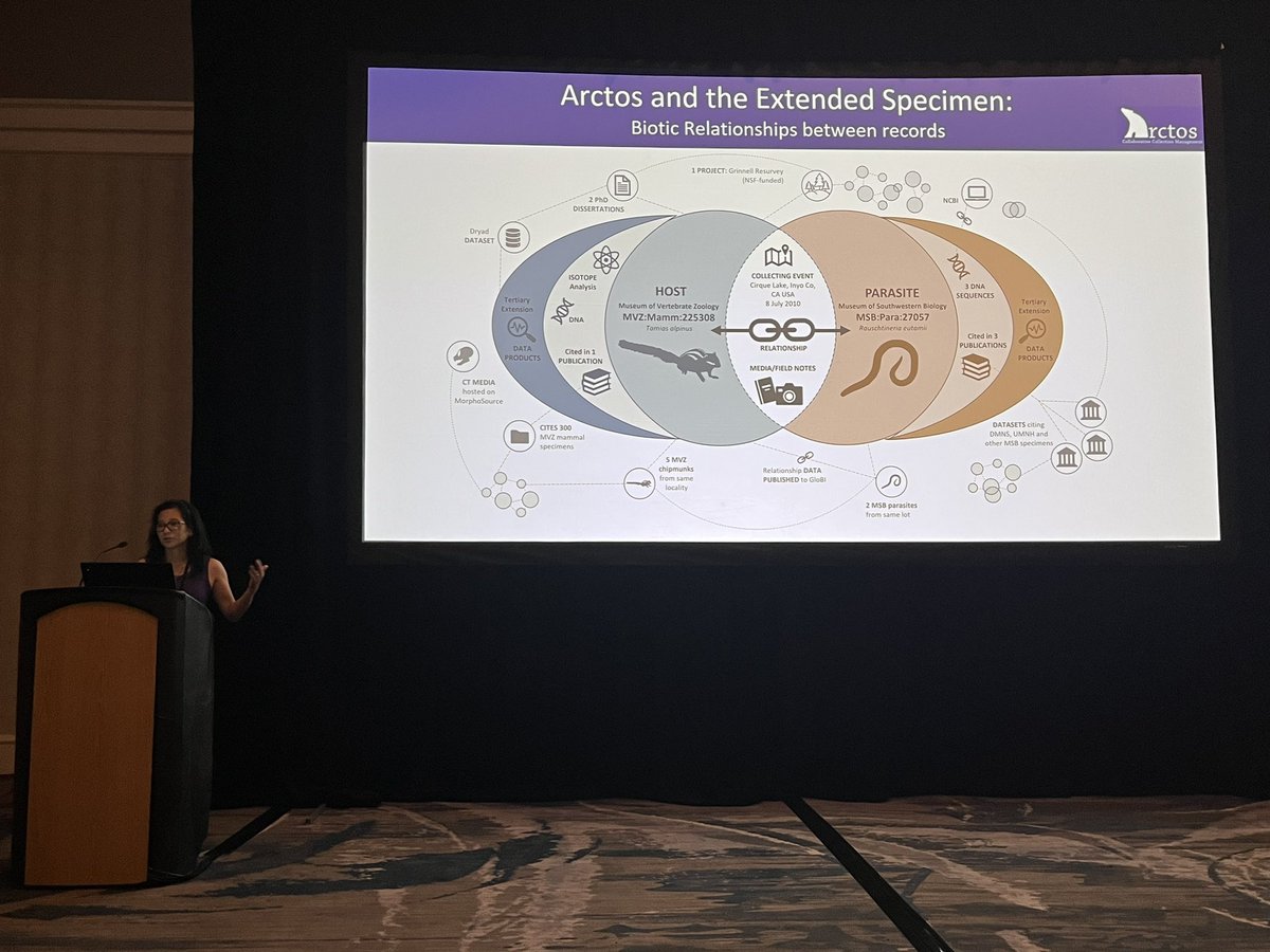 SinlanPoo's tweet photo. Connecting/building the cyber infrastructure for #Zoo and #NaturalHistoryMuseum to work together! Michelle Koo talks about Arctos @arctosdb and the #ExtendedSpecimenConcept at the #ZooMu symposium
#JMIH2023 https://t.co/dTn00hCVHu