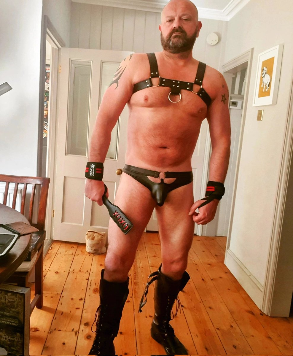 Beardybear tweet media