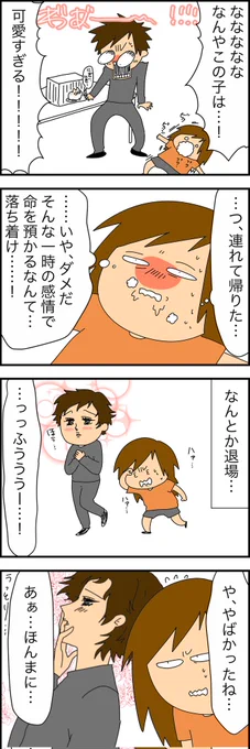 子猫との出会い…6🐱 (先読みはリプ欄からどうぞ🐾)