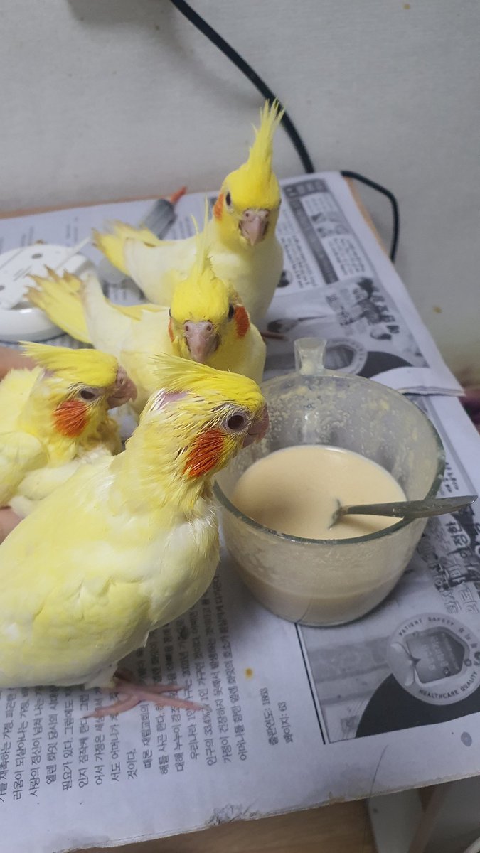 이유식 주세요. 대기중