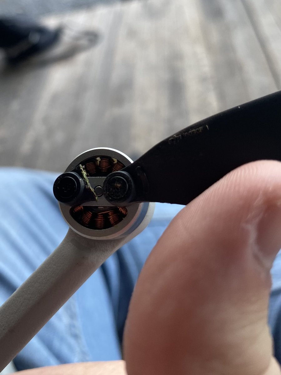 ArgyleFlyGuys's tweet photo. Oops https://t.co/1fTpVRroNw