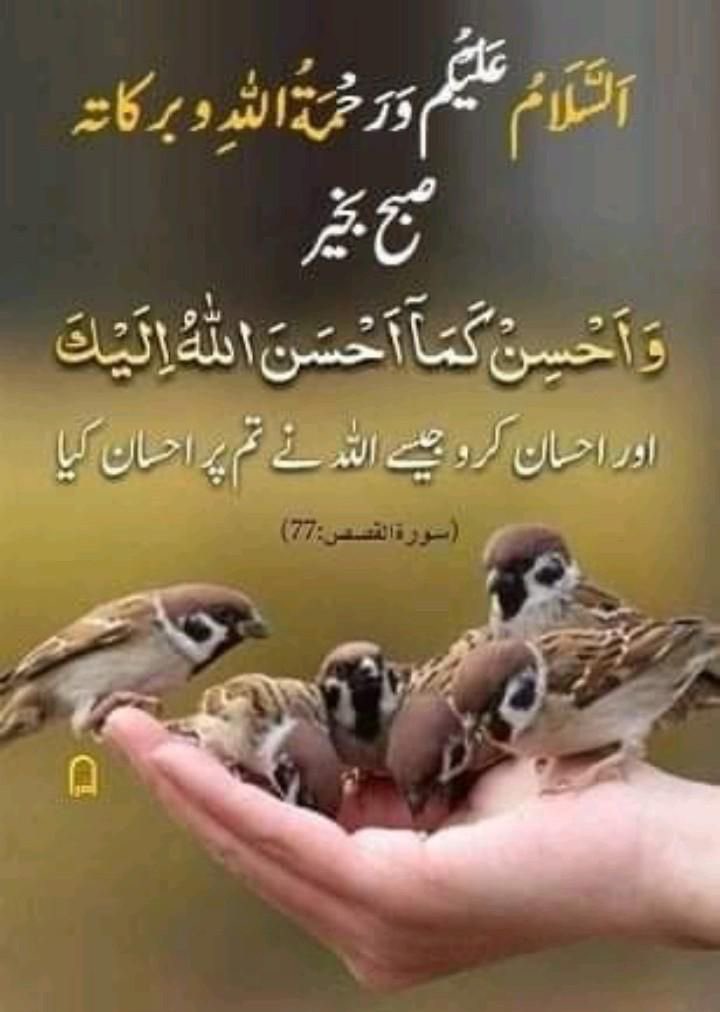 ❤️🔥 Fiza Shahzadi ❤️🔥 tweet media