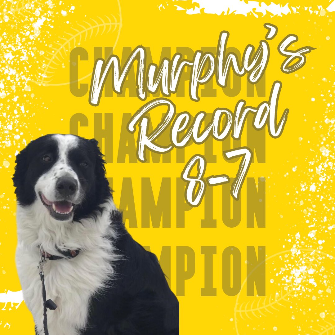 murphysnrfi's tweet photo. 🧹🧹🧹
Murphy gets the sweep!
#freepicks #freenrfipick #nrfi #freenrfi #sportsbetting #sportsbettingdog #mlb #mlbbets #freemlbbets #freebets #handicapper #winner #winningrecord https://t.co/T0KZyxUEiT