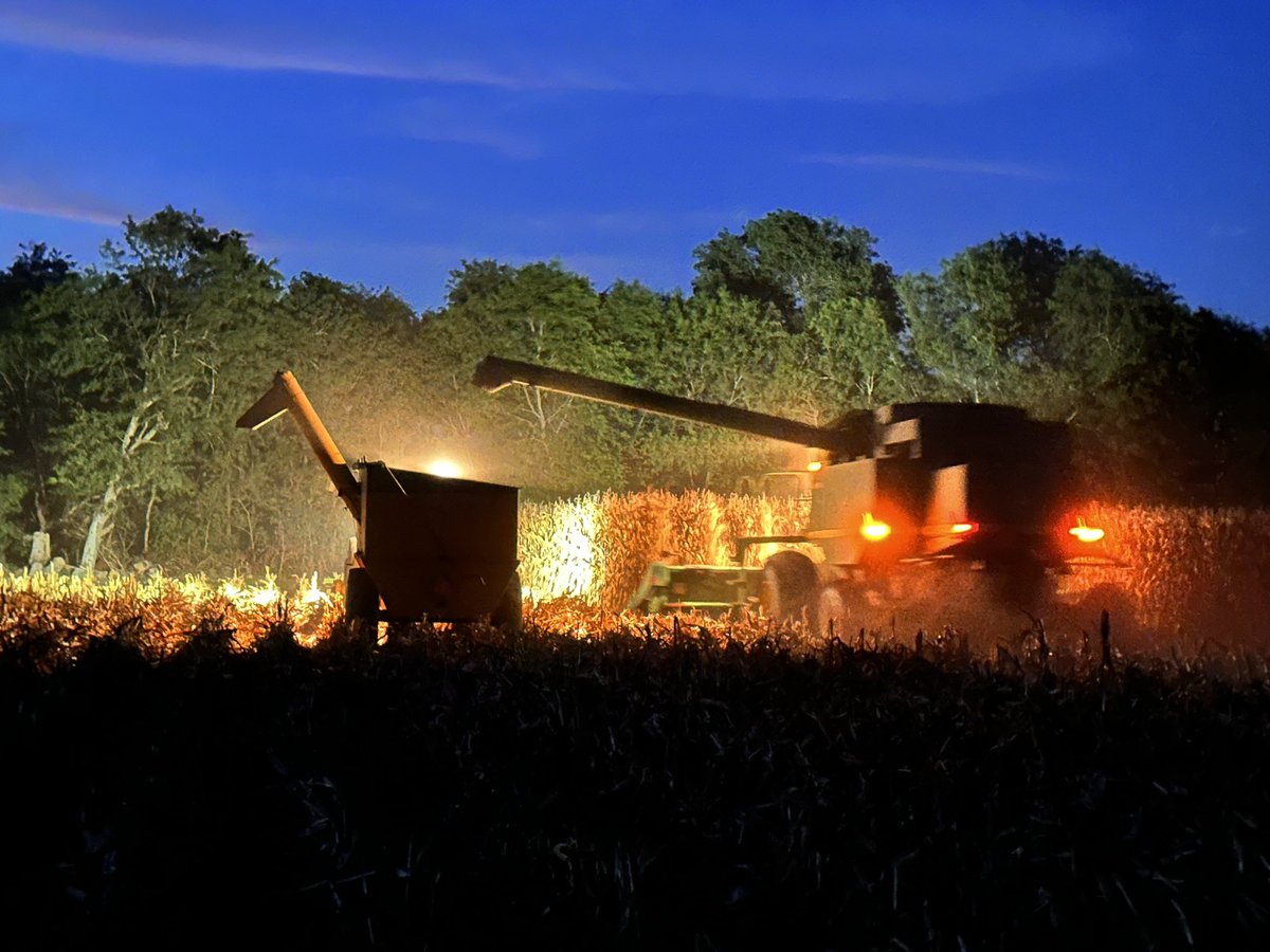 Chris Goerig tweet media