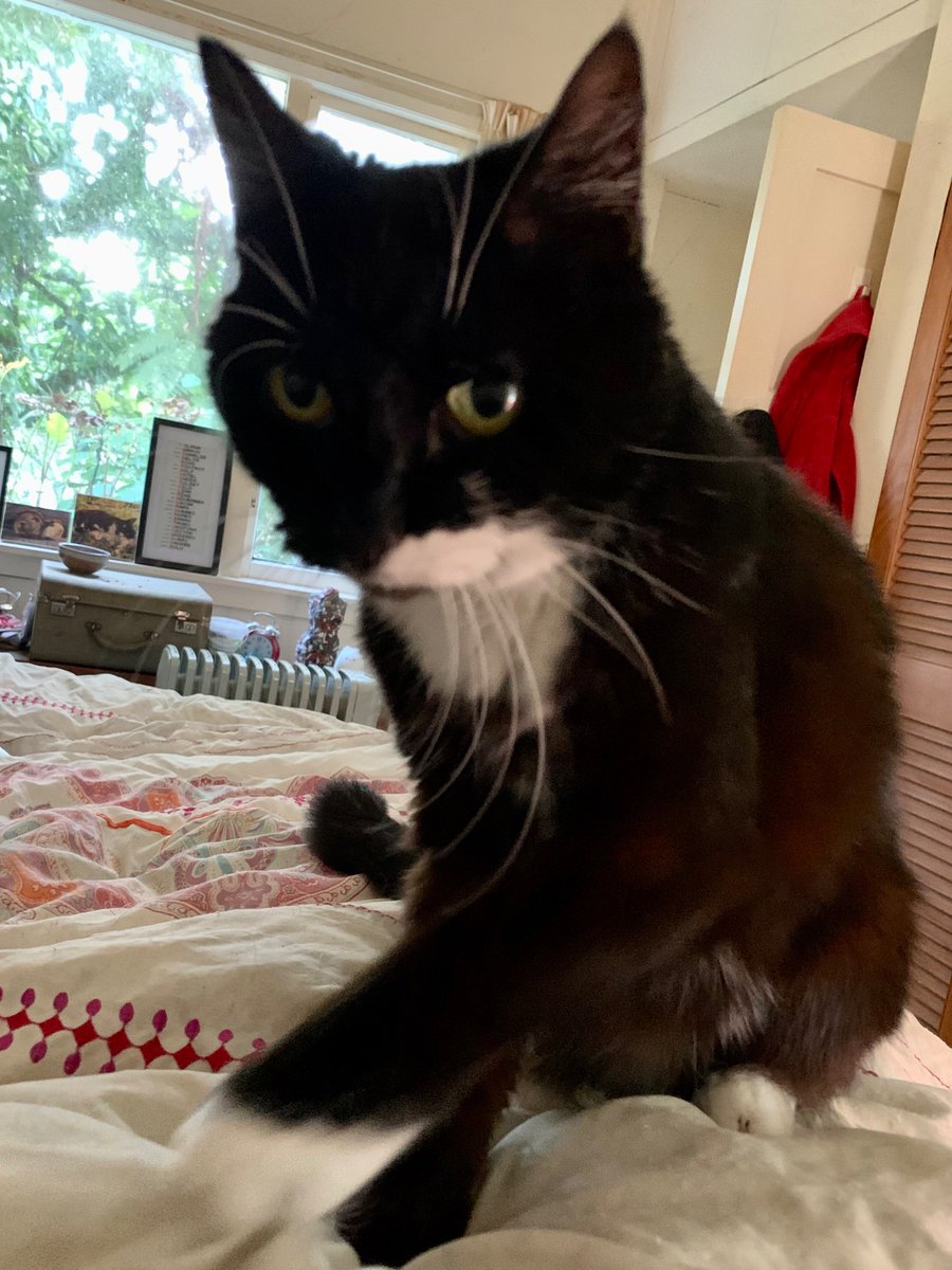 Sarah B. tweet media