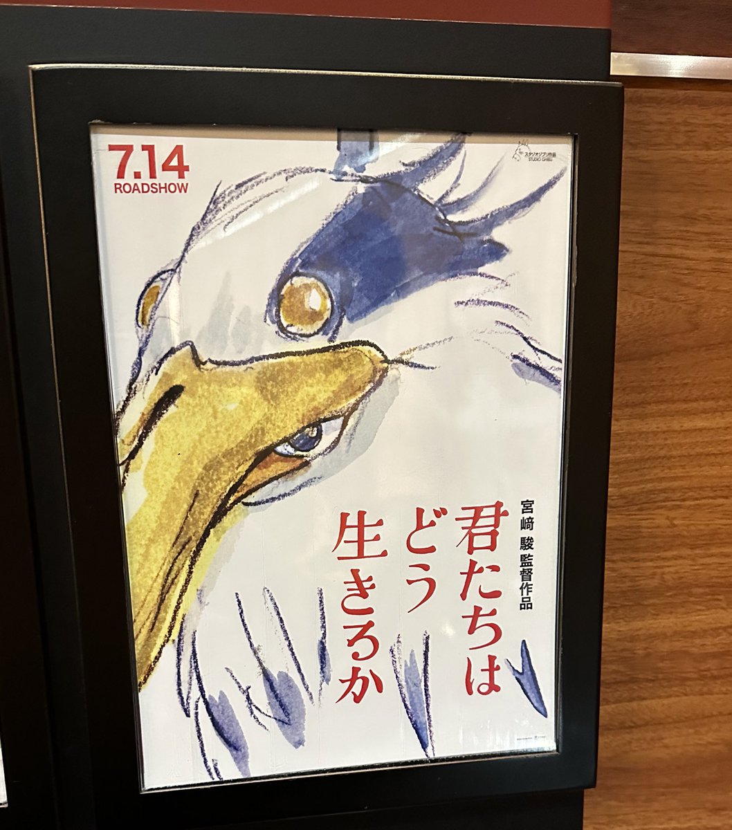 見〜🦜