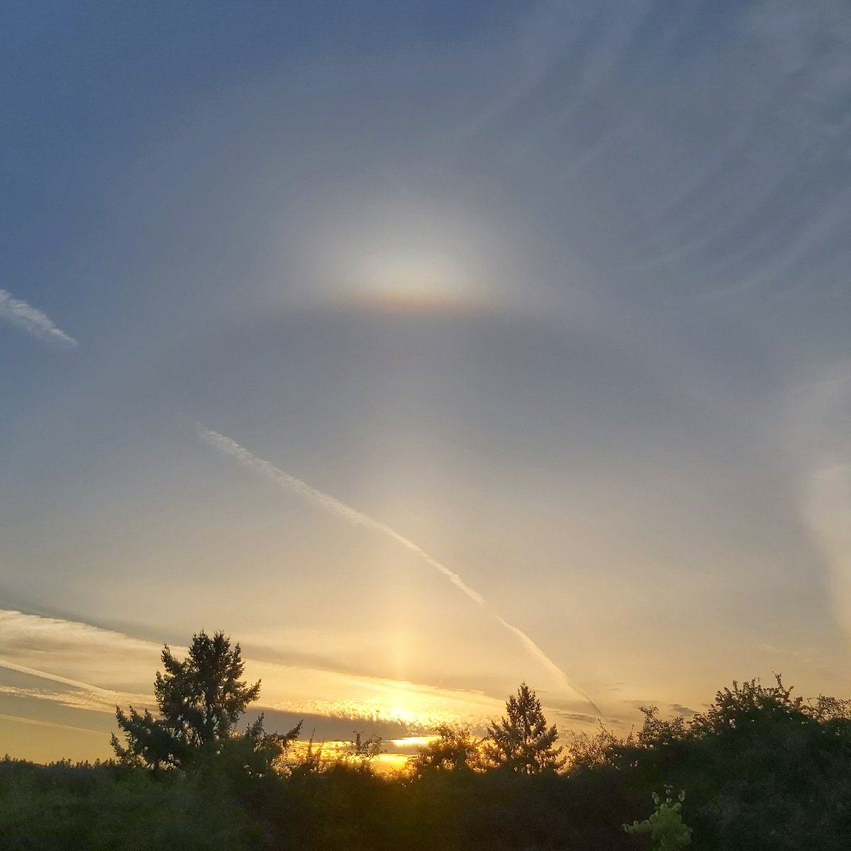 Ted Williams tweet media