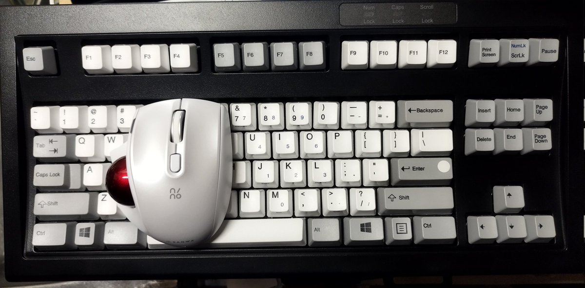 Oodama_HUGE_g's tweet photo. UNICOMP MINI。サンワサプライ Nino と組み合わせるとモノトーンの中に操作球の赤が挿し色になってとても美しい。ただSWが静音なので MINI の爆音が更に鳴り響くことに。 ww
#sanwa #サンワサプライ #trackball #トラックボール #unicomp #backlingspring #キーボード #keyboard https://t.co/L3g4bSNAre