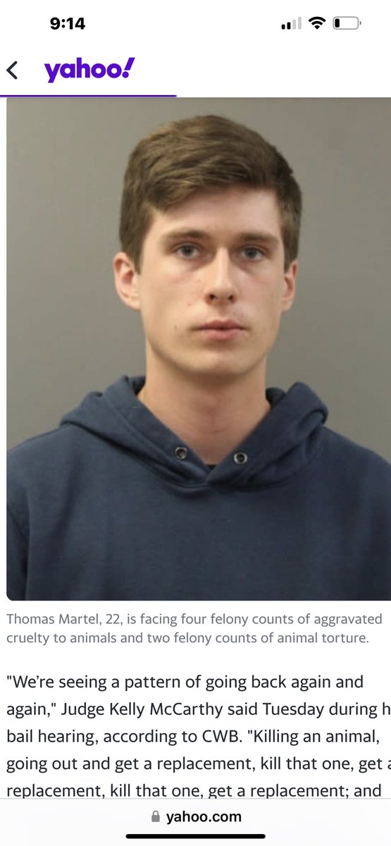 ving_ad's tweet photo. Wow he’s been killing and torturing kittens since he was 8 years old , parents must be proud how pathetic do u hv to be ??? https://t.co/OMq6oa89Ym