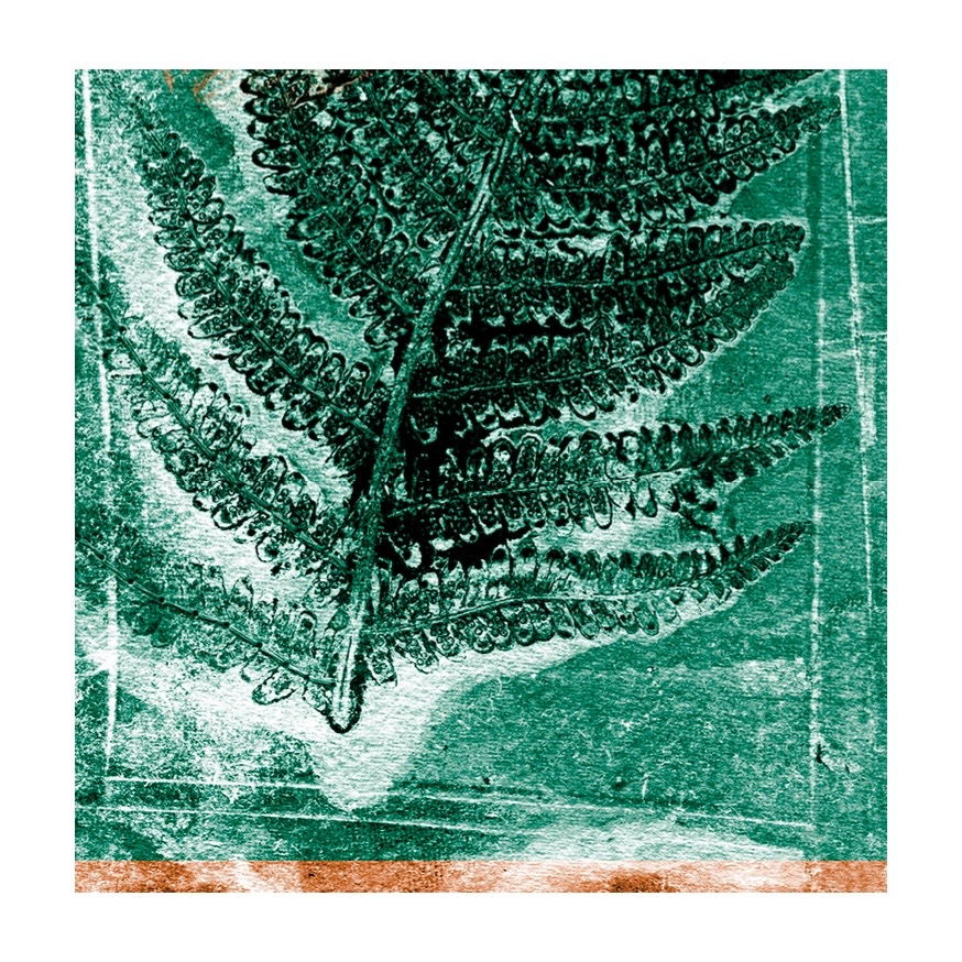 K I N G S  C U L T U R E

ECR Creative Collaboration Seed Fund

I am delighted to be through to the next round of King's Culture’s seed fund. Following a recent event at Kings to connect artists with Early Career Researchers (ECRs) I am now collaborating with a scientist to dev