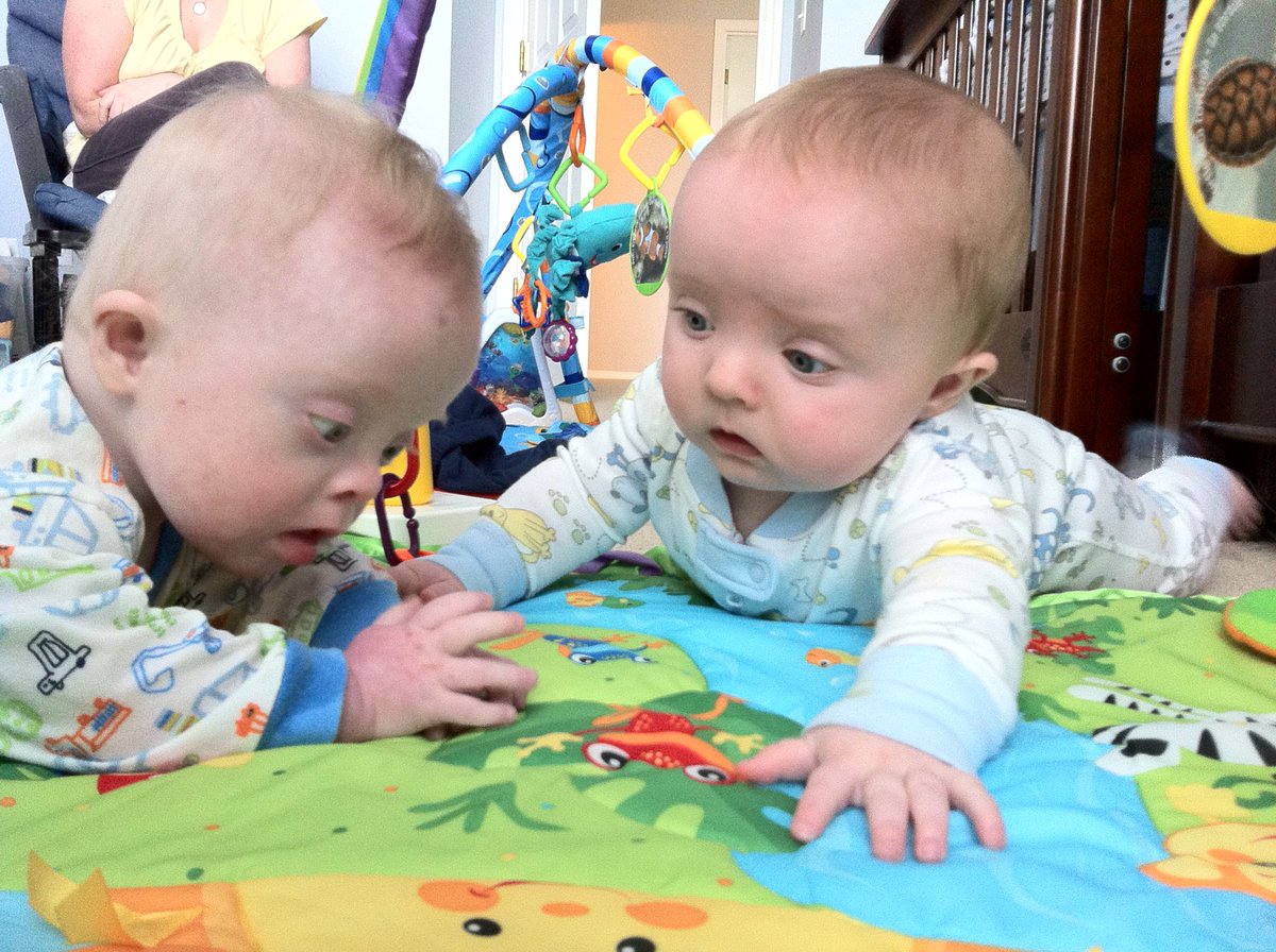 Scott Hadden tweet media