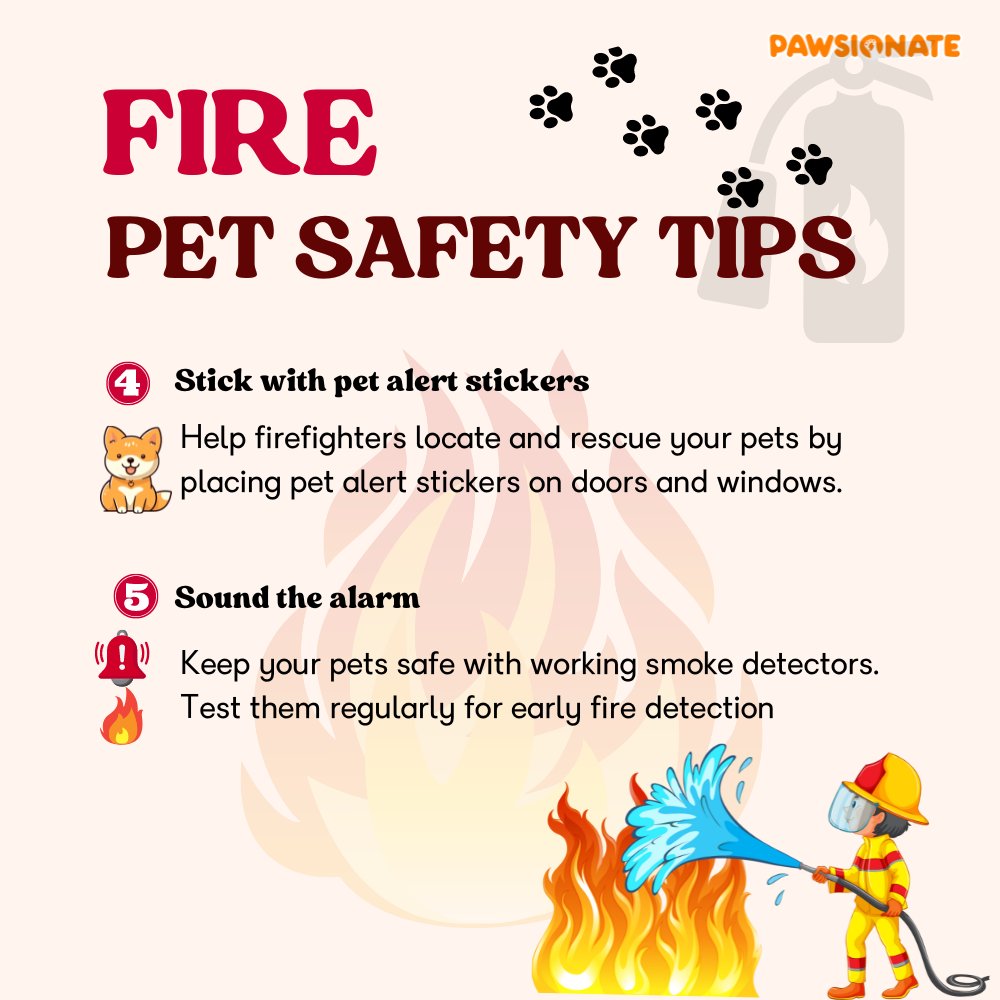 Pawsionate tweet media