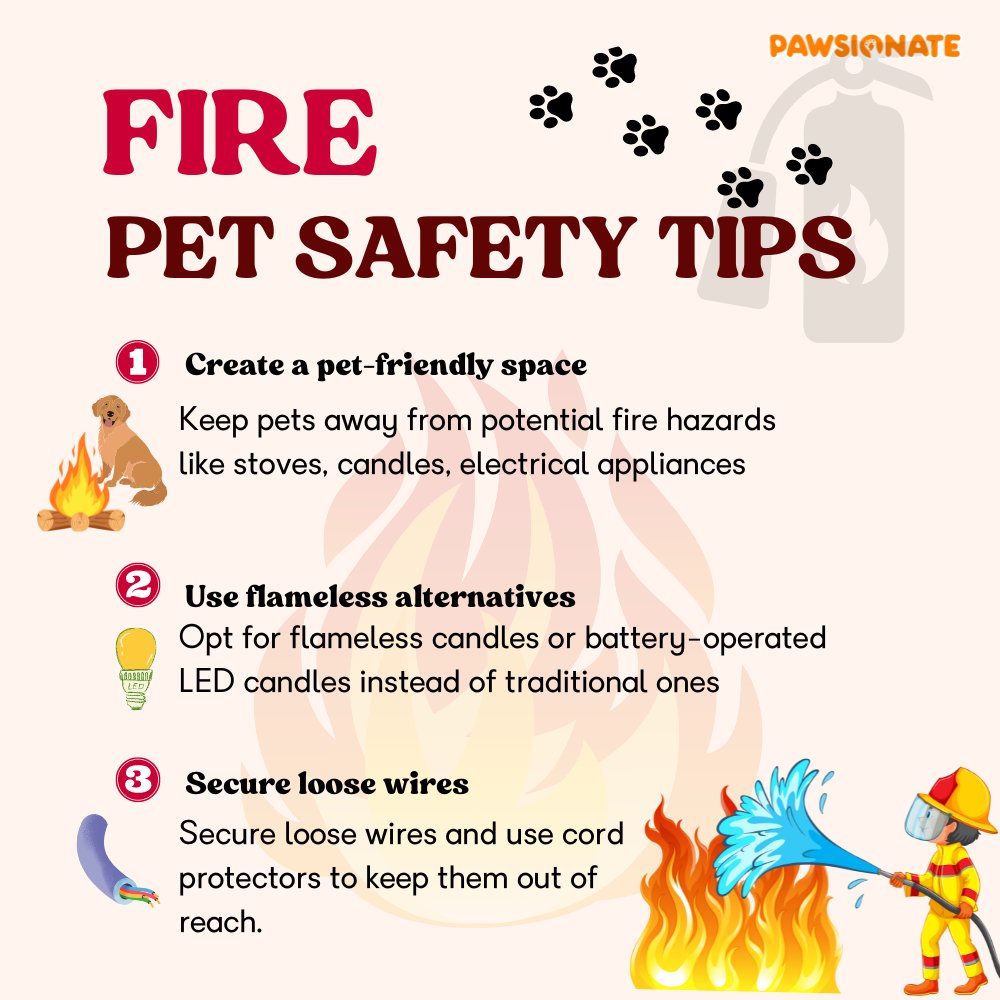 Pawsionate tweet media