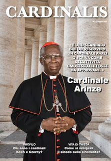 messainlatino's tweet photo. #MiL Dalla rivista 'Cardinalis': "Perché sono ancora cardinali?" (2) #cardinalis; #mtl Per leggere il post di #Messainlatino, cliccare su:https://t.co/vu87dIPZv6 https://t.co/6RDa9qdU0r