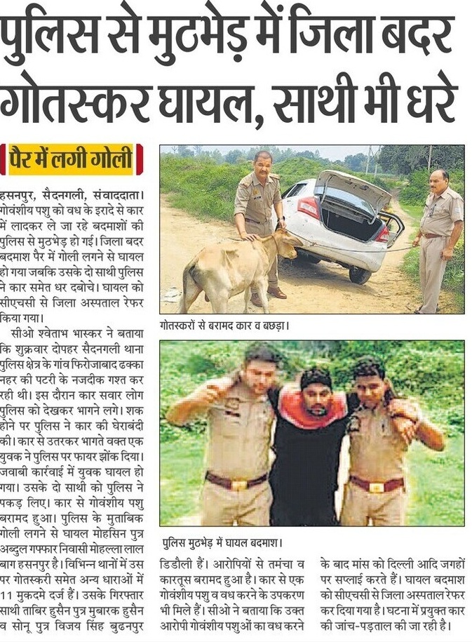 amrohapolice's tweet image. #CrackDownUPP

थाना सैदनगली/SOG/सर्विलांस पुलिस टीम की गोतस्करों से मुठभेड़, जवाबी फायरिंग मे 01 अंतर्राज्यीय गोतस्कर घायल/गिरफ्तार, 02 अन्य बदमाशो को भी किया गिरफ्तार,  मौके से एक जिन्दा बछडा, उपकरण, संदिग्ध स्विफ्ट डिजायर गाड़ी व अवैध असलहा/कारतूस बरामद

#UPPolice 
#GoodWorkUPP