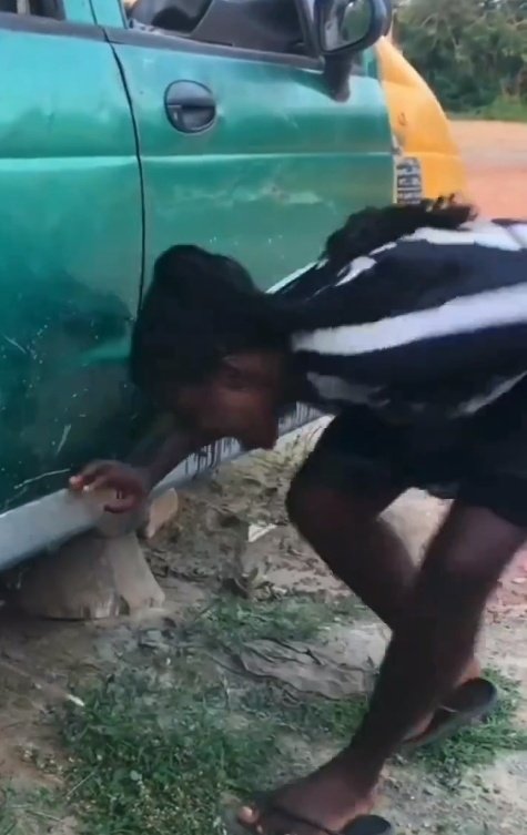 Essay help, Homework & Online class helper tweet media