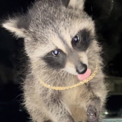 Baba_boyo's tweet photo. #NewProfilePic https://t.co/aCwlNpCfUu