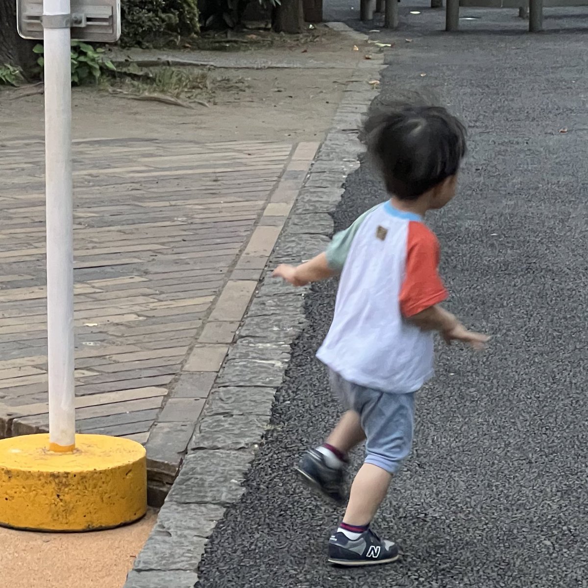 koji_sub_'s tweet photo. 走る息子 https://t.co/QlAHRWMPVm