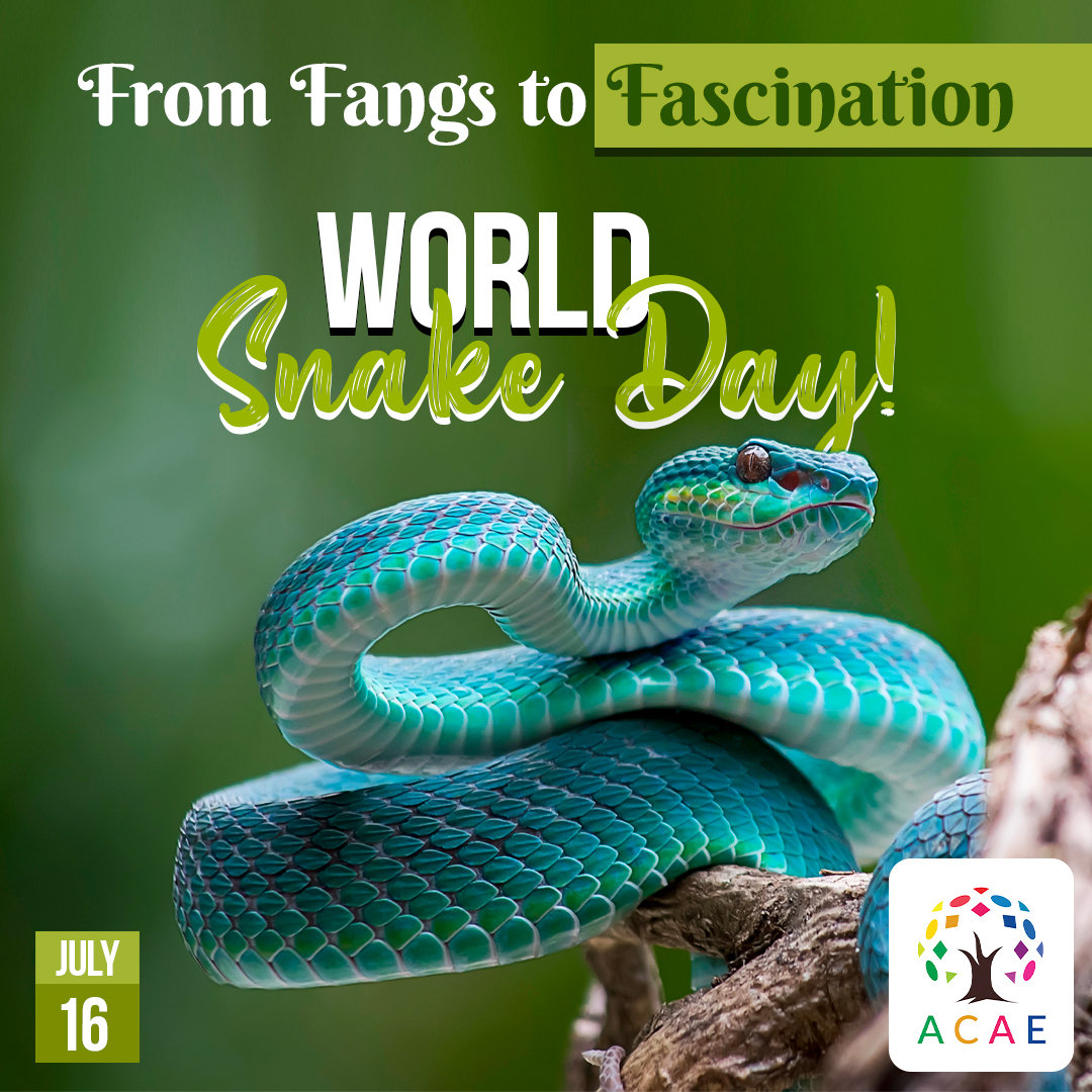 ACAE_EARTH's tweet photo. 🌍 #WorldSnakeDay 

From venomous vipers to docile pythons, snakes are an integral part of our natural world. Let's protect their habitats and promote coexistence!

#WorldSnakeDay2023 #ProtectSnakes #ACAE #AllCreationsAreEqual https://t.co/kFxB3I6w09