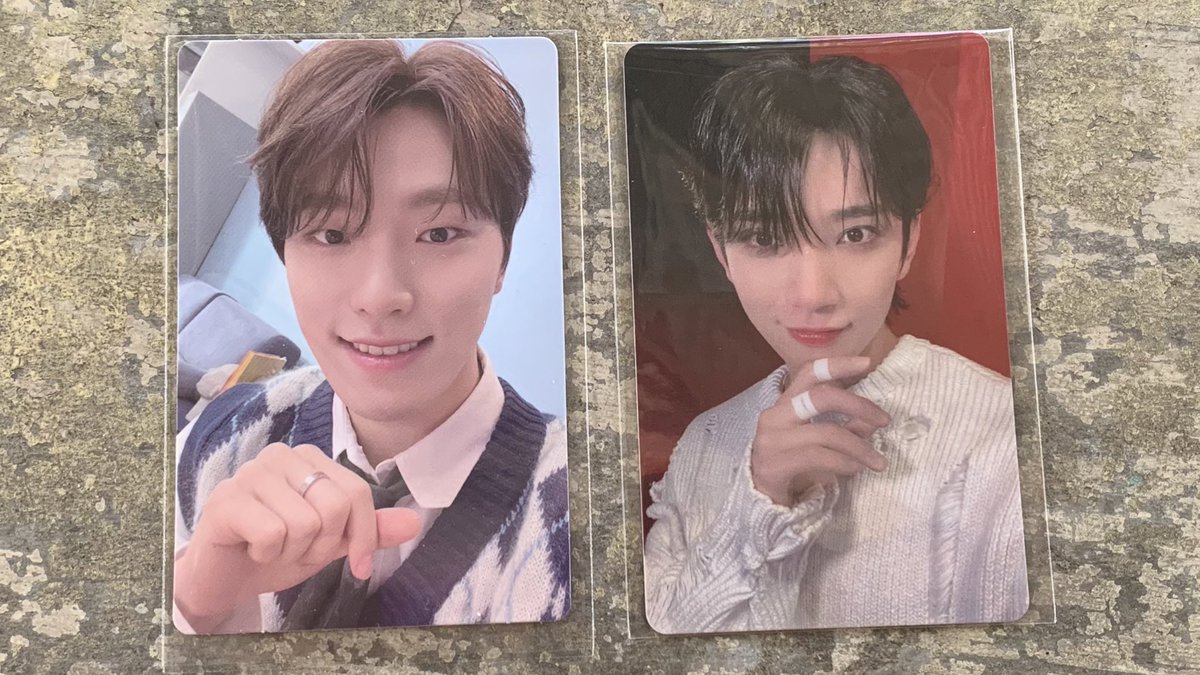mailencart's tweet photo. wts lfb 

⚜️ mingyu &amp; shua - 480 (475 if payo)
⚜️ shua &amp; dino - 500 (490 if payo)

3 days dop w/ nrdp of 50% + pf &amp; lsf

mint condition

🔅 MOP: GCash; MOD: FlashExp
🔅 Ilo, Vis

dm / reply to claim

fts fml pob joshua mg dino face the sun https://t.co/nCmjNcPV4M
