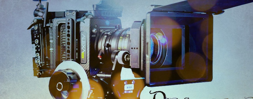 Old School Cameras tweet media