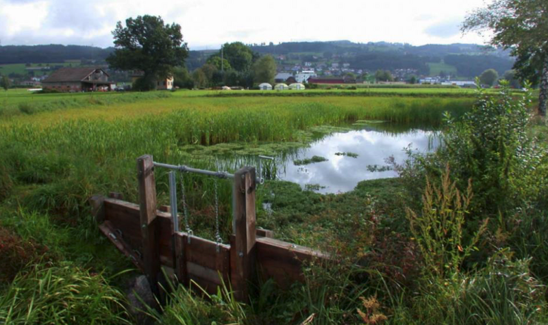 permakulturBlog's tweet photo. &amp;quot;Slow Water&amp;quot; für die Kulturlandschaft in der Schweiz. Mit Retentionsmassnahmen Regenwasser nutzen und Erosion vermeiden
Ah, sehr schön zu sehen dass wir nicht alleine sind mit unserem starken Wunsch nach Wasserretention.

https://t.co/K3it7gas82 https://t.co/P3MJXNQU7q