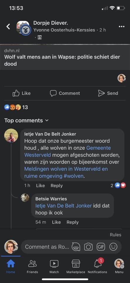 Alle wolven in <a href="/gem_westerveld/">Gemeente Westerveld</a> mogen afgeschoten worden, <a href="/JagerRikus/">Rikus Jager</a> ? Als dat gezegd is werpt dat een heel nieuw licht op de zaak <a href="/Het_OM/">Openbaar Ministerie</a> <a href="/RechtspraakNL/">Rechtspraak</a>