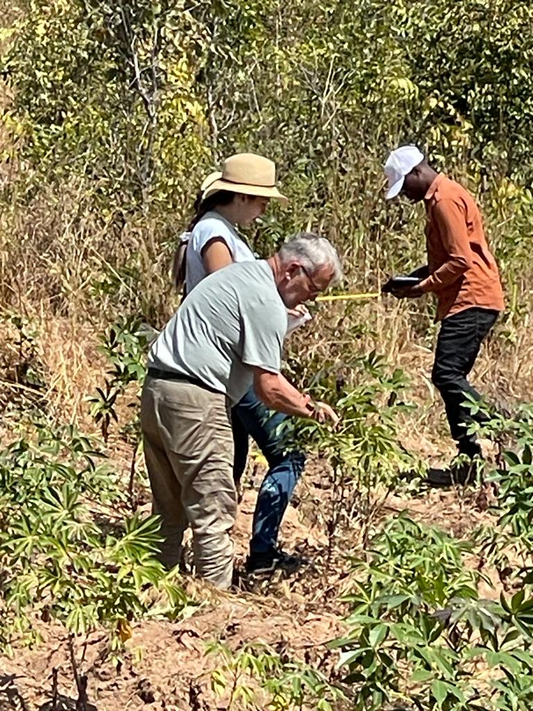 Samar Sheat, Ph.D.🌿 tweet media