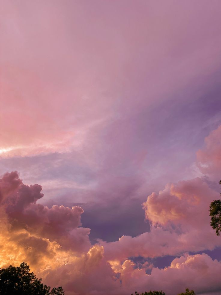 kiyowink's tweet photo. time, wondrous time, gave me the blues and then purple pink skies 

#Ciipher #싸이퍼 #ClueSelcaDay #28MonthsWith7Pher #WON_ForU @RAIN_Ciipher https://t.co/ylHcoCf7rD