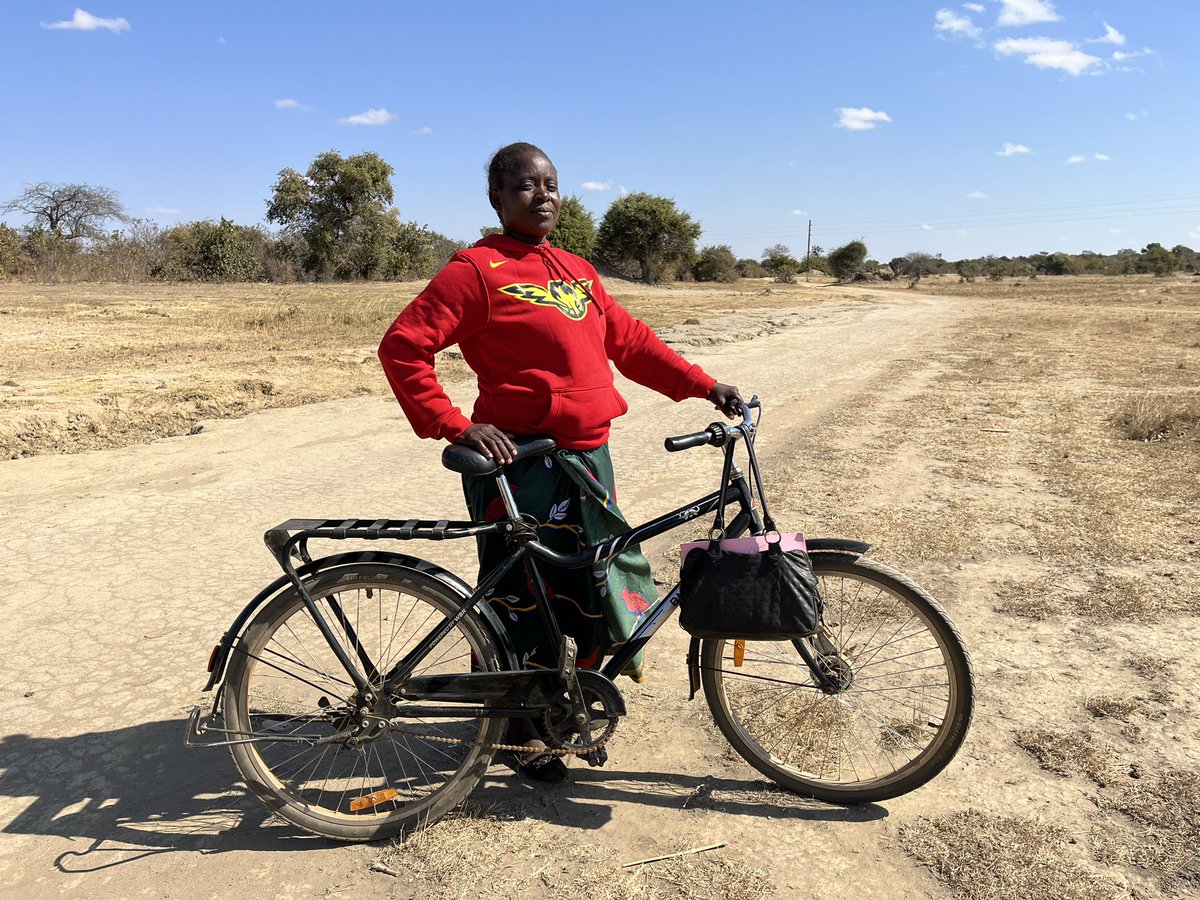 Emily Gee tweet media