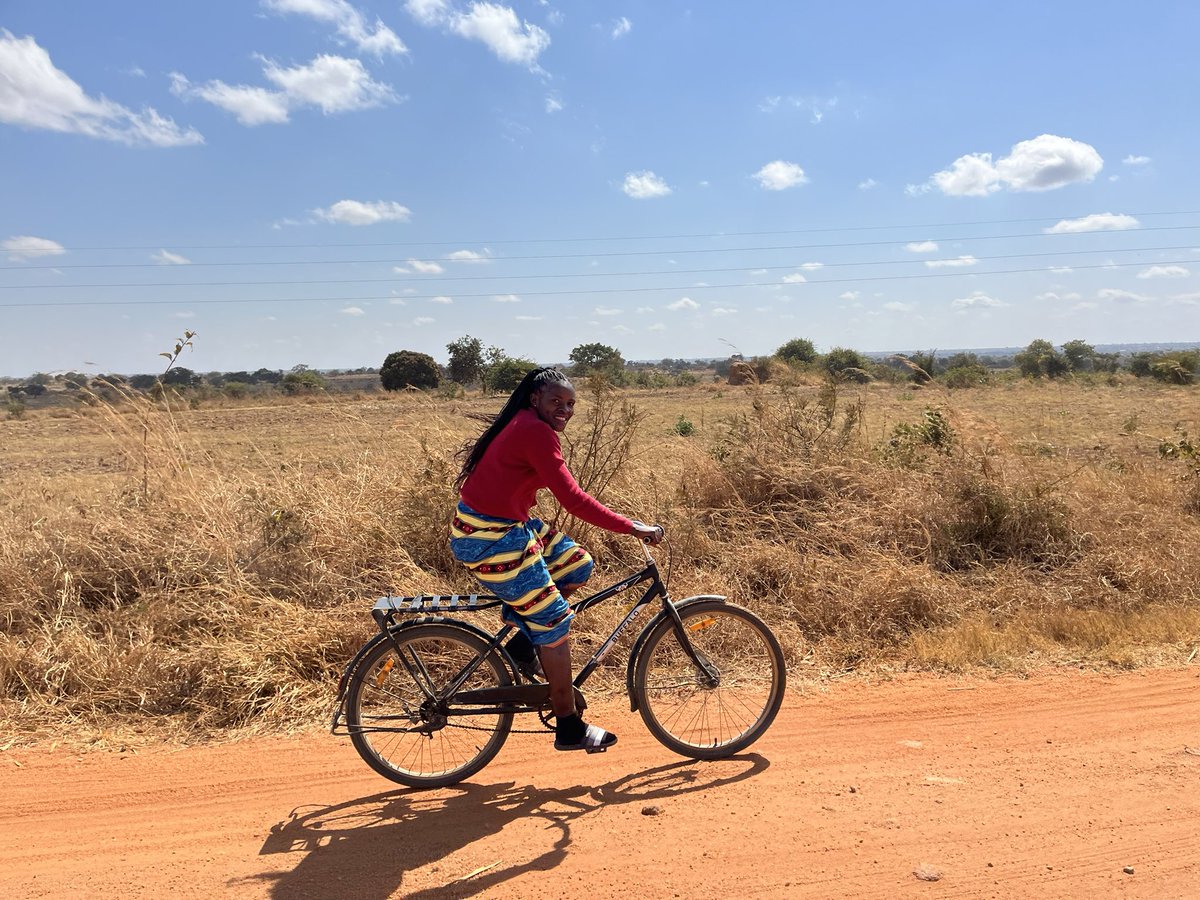 Emily Gee tweet media