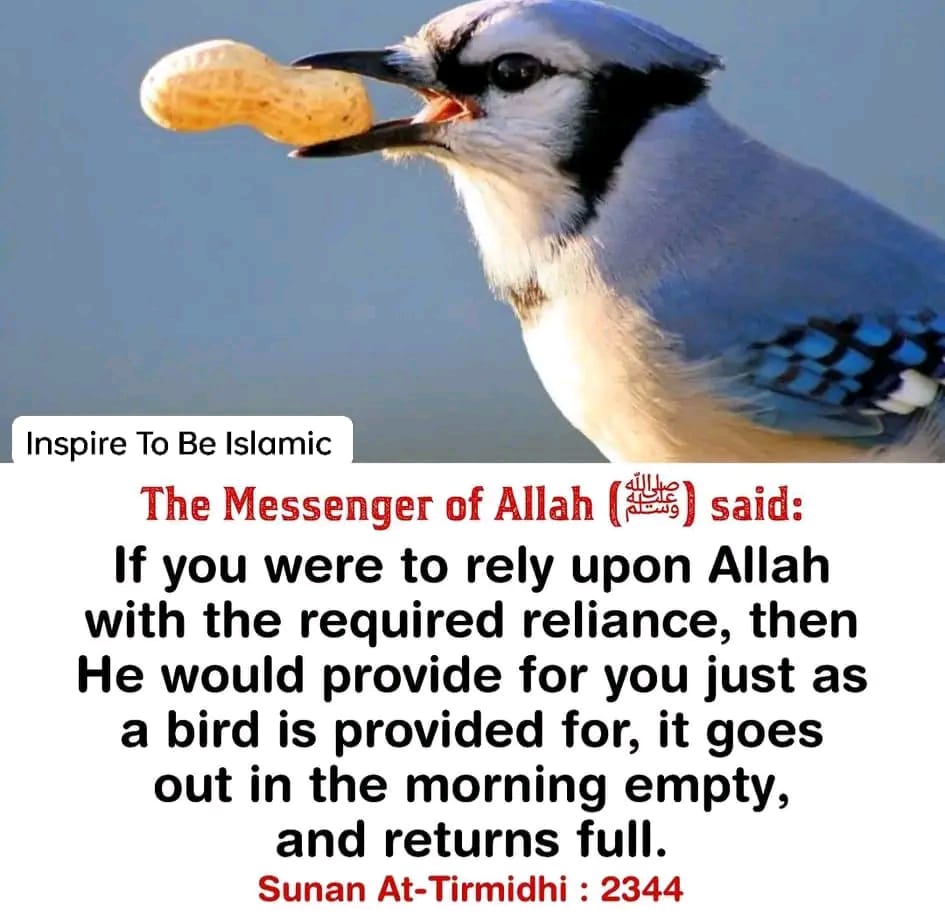 Abbamuaz's tweet image. #AHadith